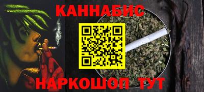индика Ярославль