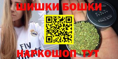 индика Ярославль