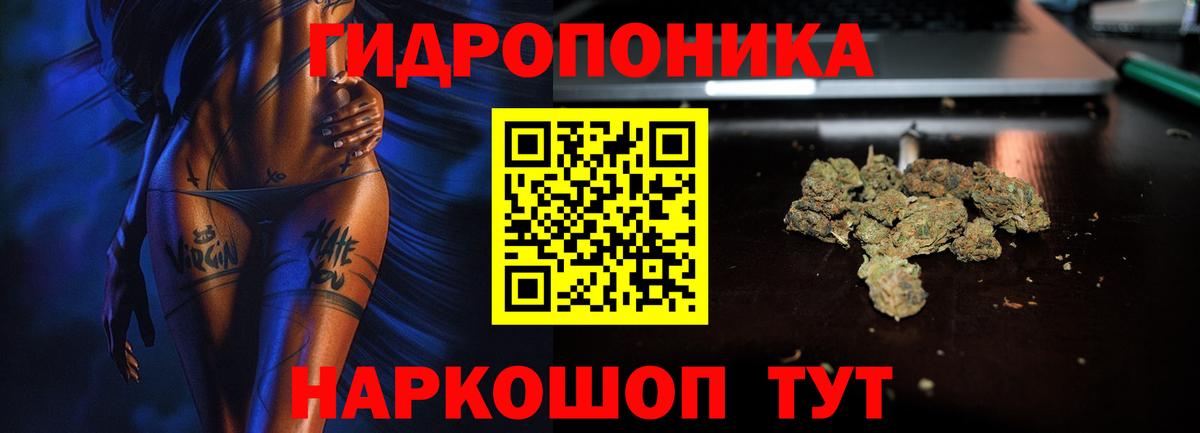 Асино  Каннабис White Widow  Вход с VPN  МАРИХУАНА VHQ  Каннабис VHQ 